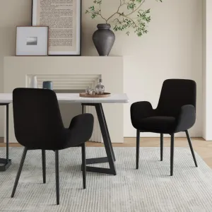 Black Teddy Upholstery Armchair Set with Metal Legs