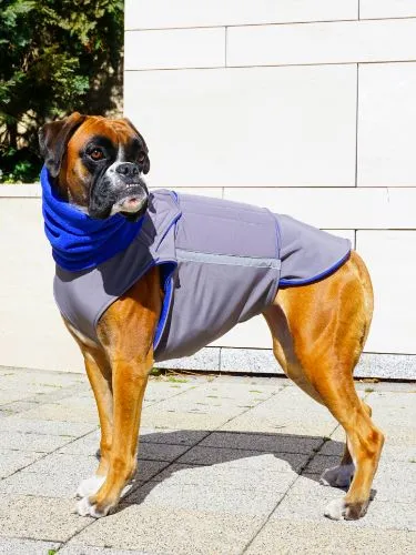 BOXER WINTER DOG COAT   NECK WARMER / MADE TO ORDER