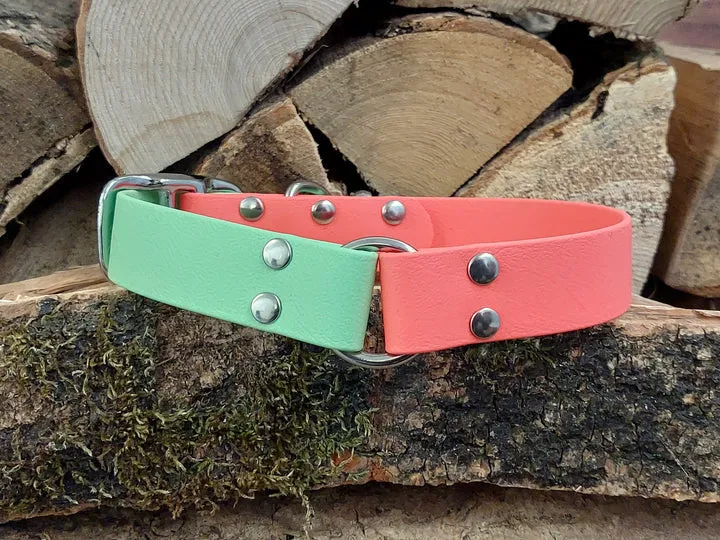 Coral & Apple Waterproof Collar