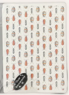 Coral Cockatoo Water Transfer Clear Decal - Watercolour Bugs