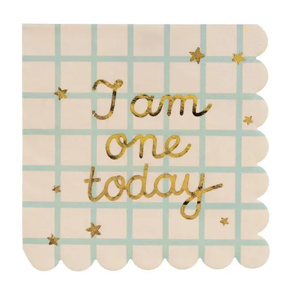 I Am One Today Teddy Bear Paper Napkins (12)