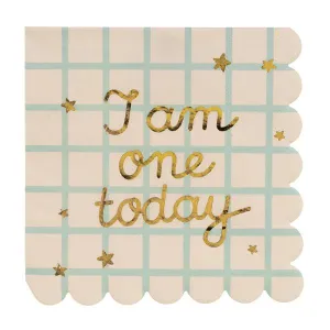 I Am One Today Teddy Bear Paper Napkins (12)