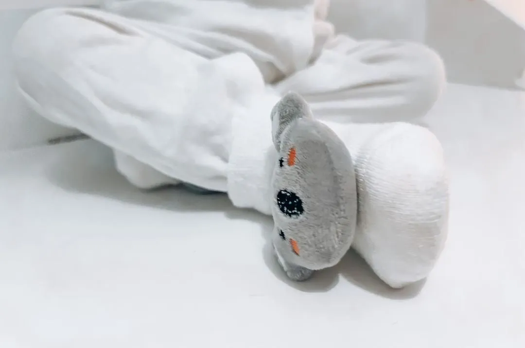 Koala Baby Socks