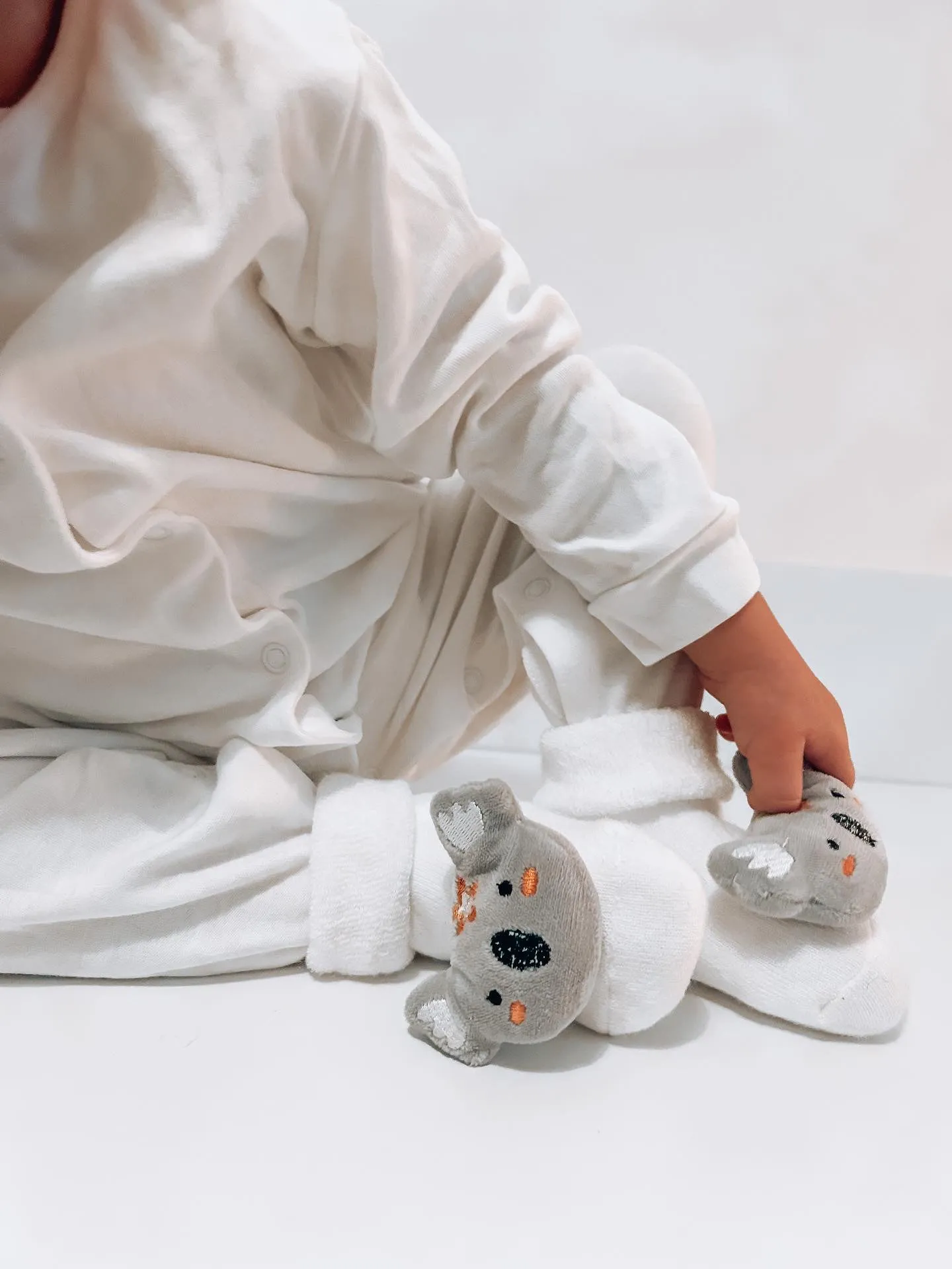 Koala Baby Socks