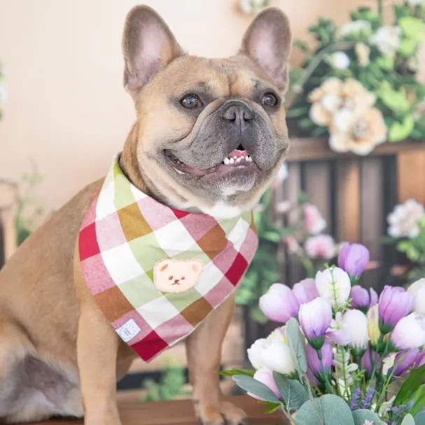 Picnic Plaid Teddy Bear Dog Bandana - Small