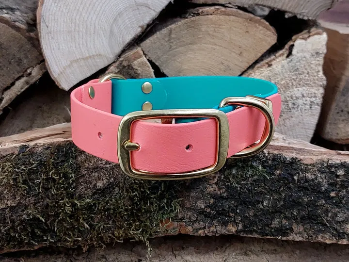 Teal & Coral Waterproof Collar