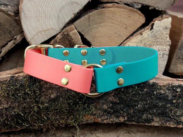 Teal & Coral Waterproof Collar