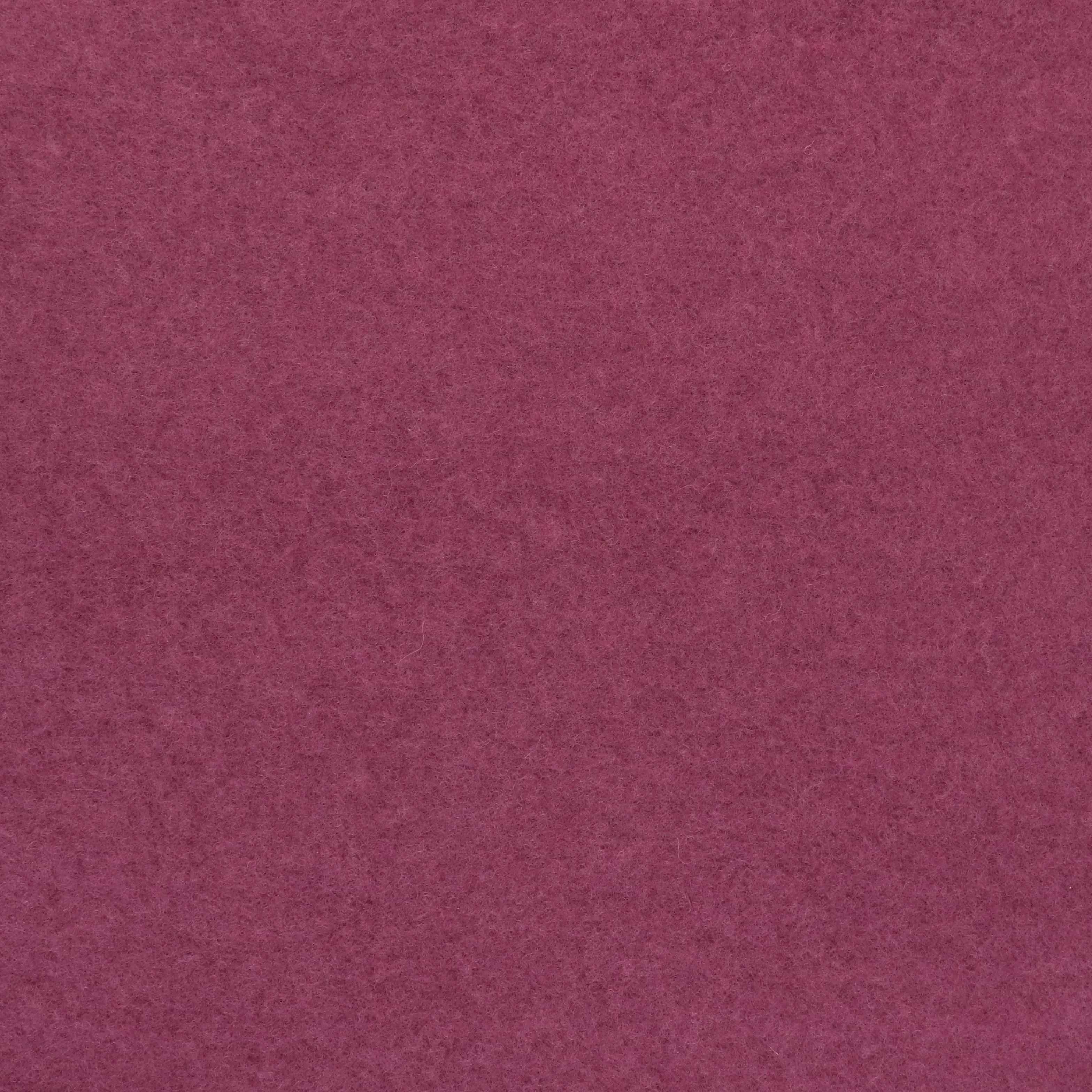 Wool Fleece - Pink